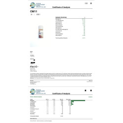 45% Mitragynine powder - FREE BASE